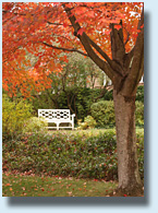 Fall at UVA